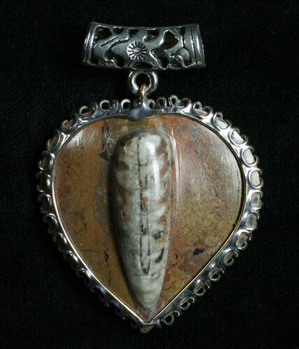 Brown Fossil Orthoceras Heart Pendant #4815